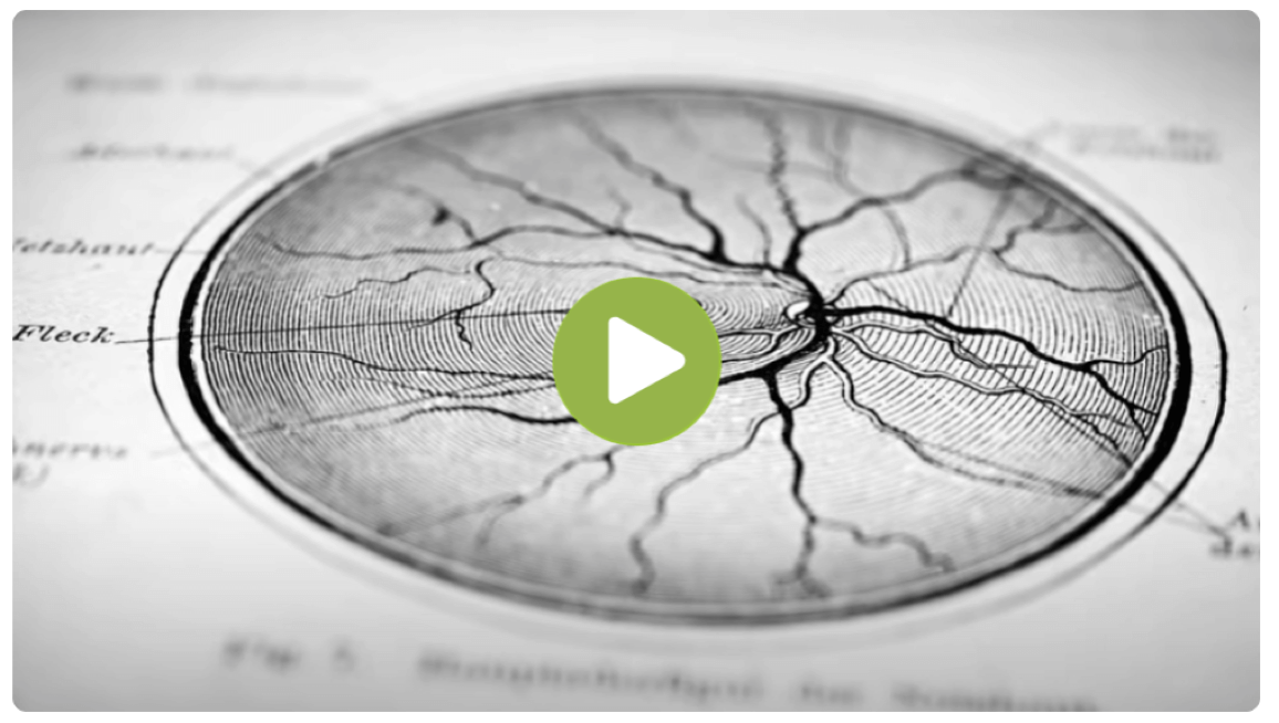 Neuroplasticity video - How to Change Your Mind
