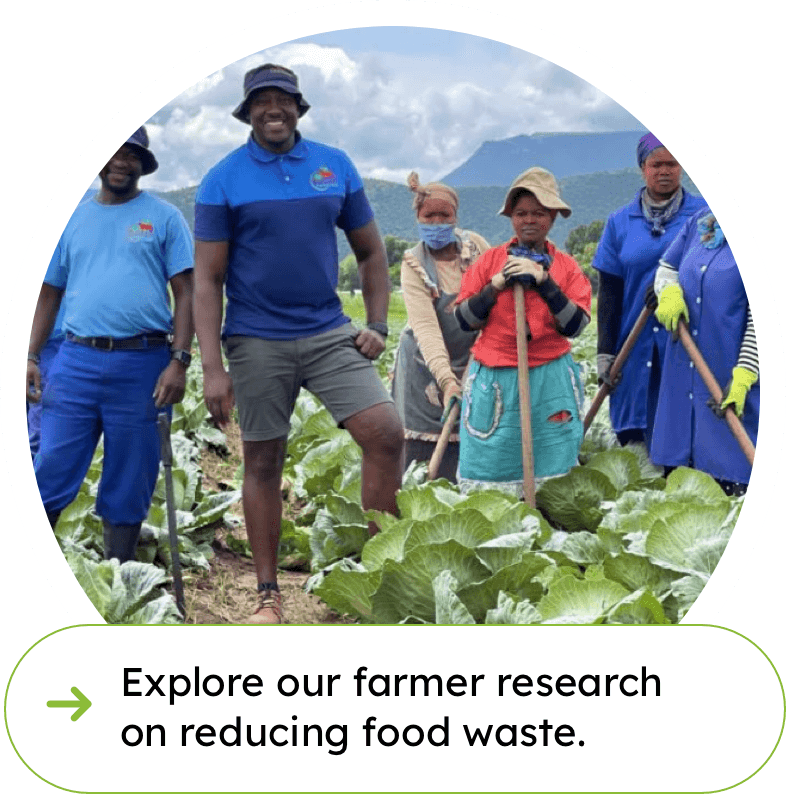 Research and Testing